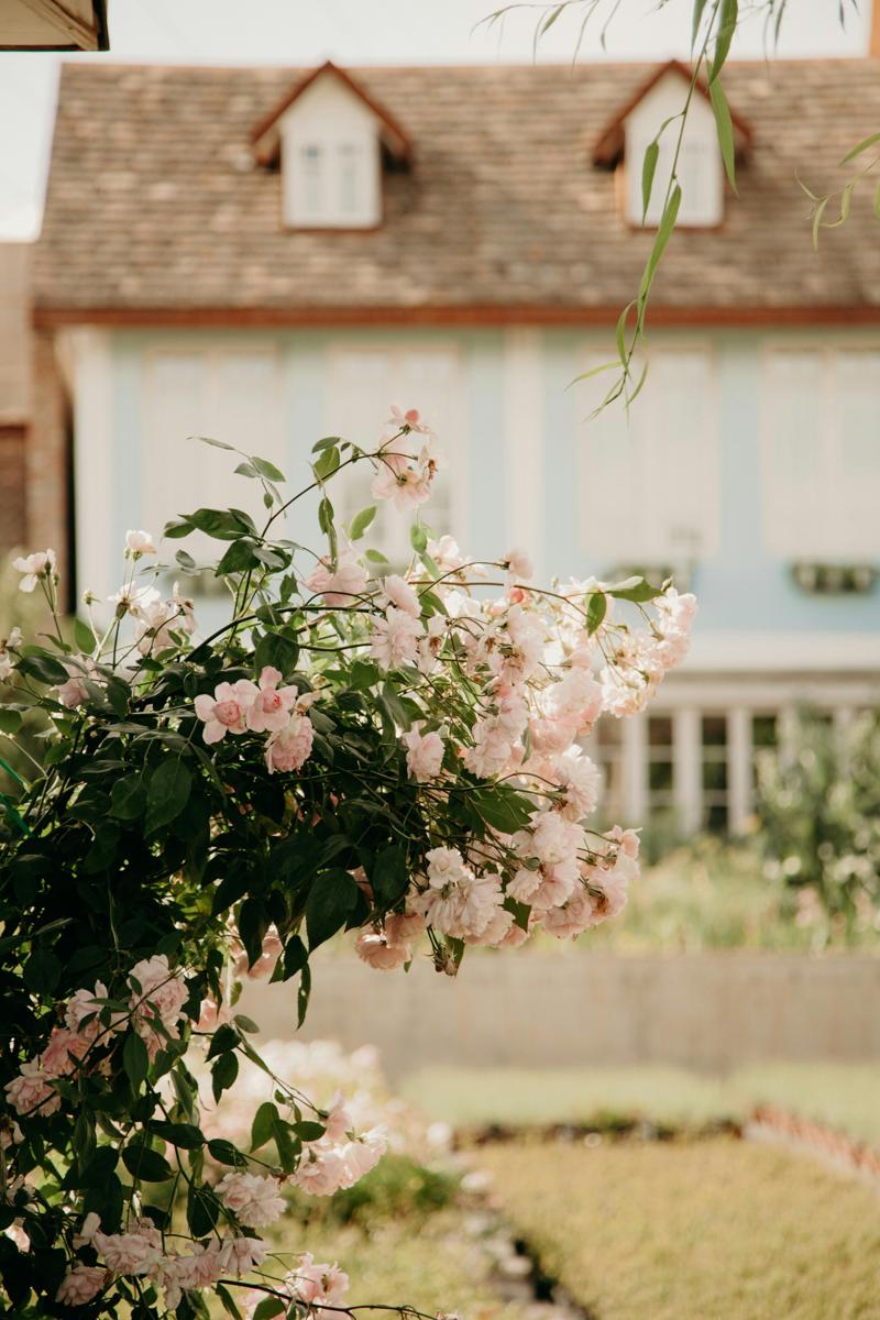 garden cottage