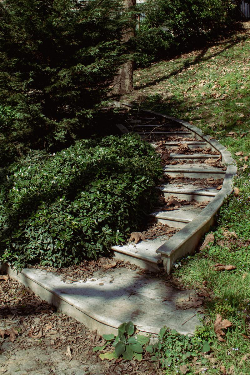 garden design