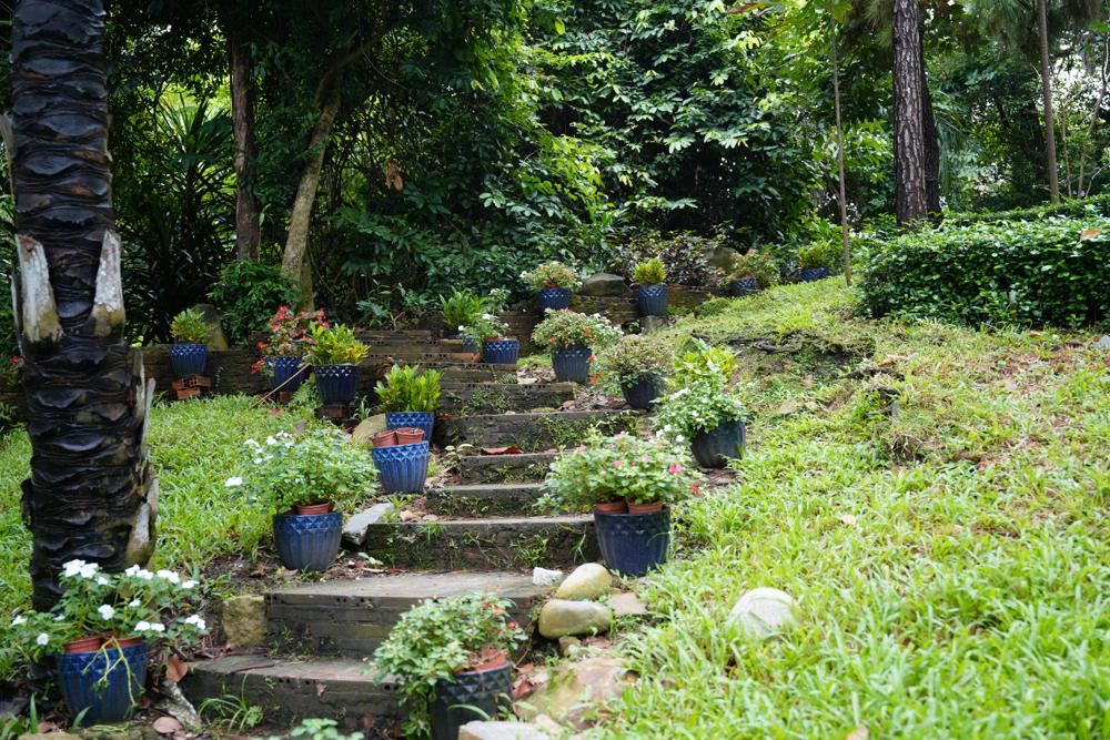 garden pathway-6189819512564162a86a7982eb191d41.jpg garden pathway