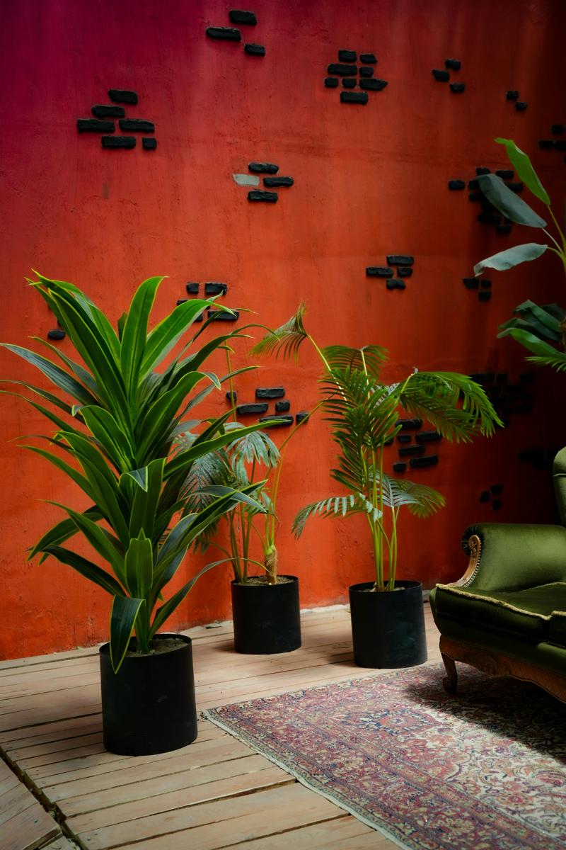 green interior