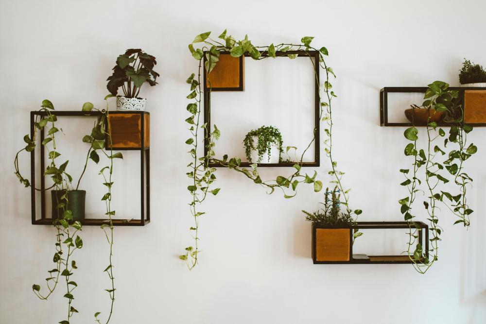 green interior