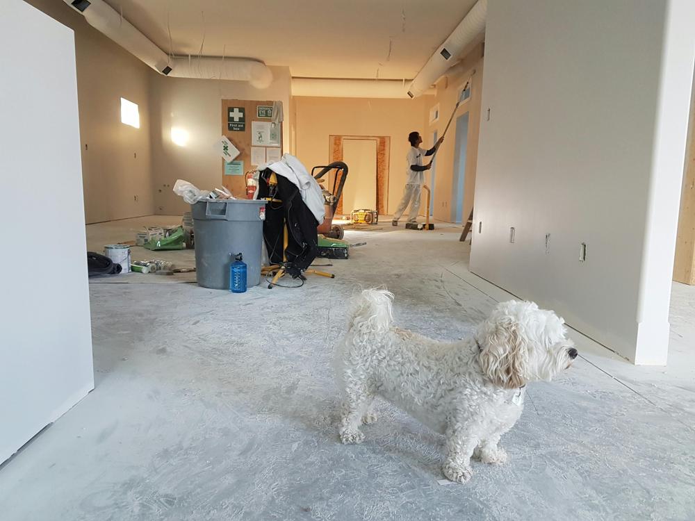 living room painting